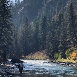 Meet your Posher, Geoff